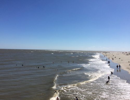 Tybee Island Escape